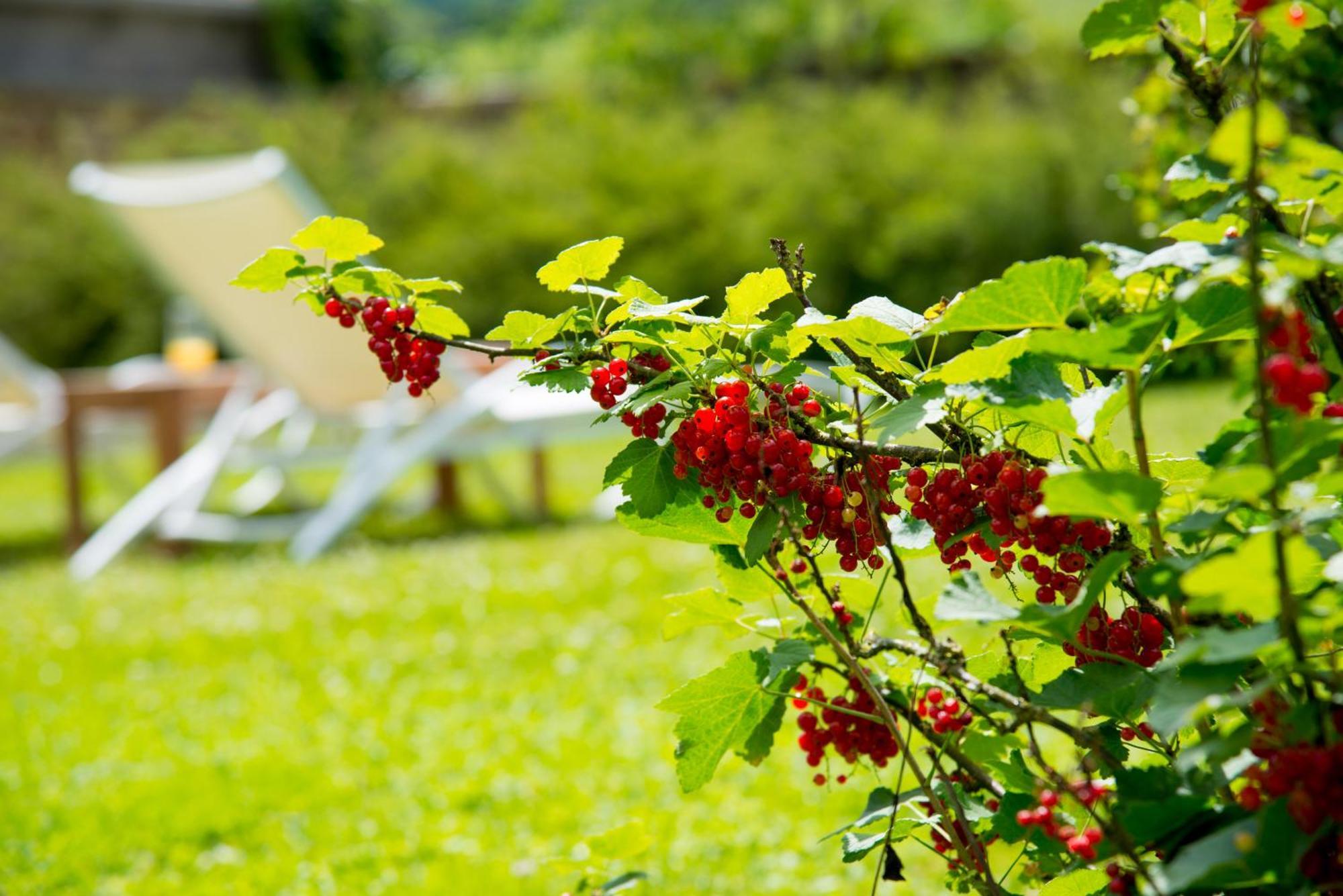 Le Logis D'Aze Bed & Breakfast Екстериор снимка
